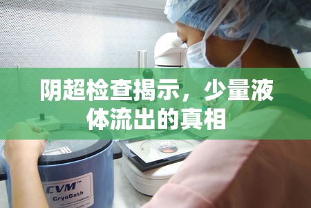陰超檢查揭示，少量液體流出的真相
