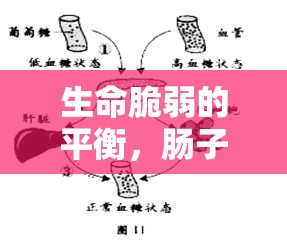 生命脆弱的平衡，腸子流出的生死瞬間