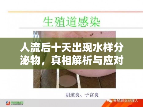 人流后十天出現(xiàn)水樣分泌物，真相解析與應(yīng)對(duì)措施