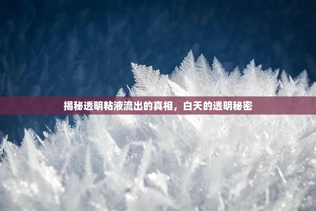 揭秘透明粘液流出的真相，白天的透明秘密
