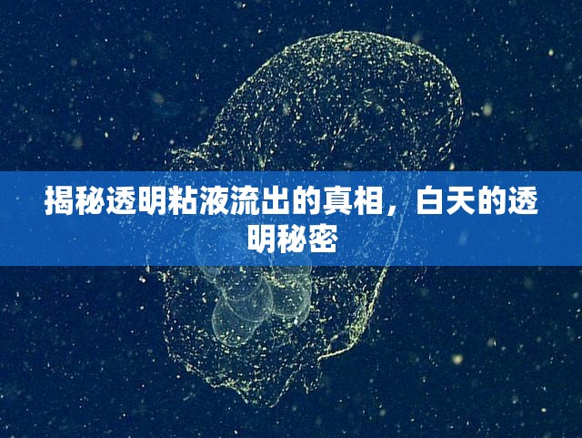 揭秘透明粘液流出的真相，白天的透明秘密