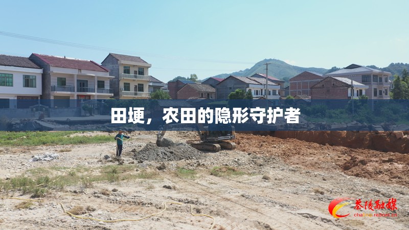 田埂，農(nóng)田的隱形守護(hù)者