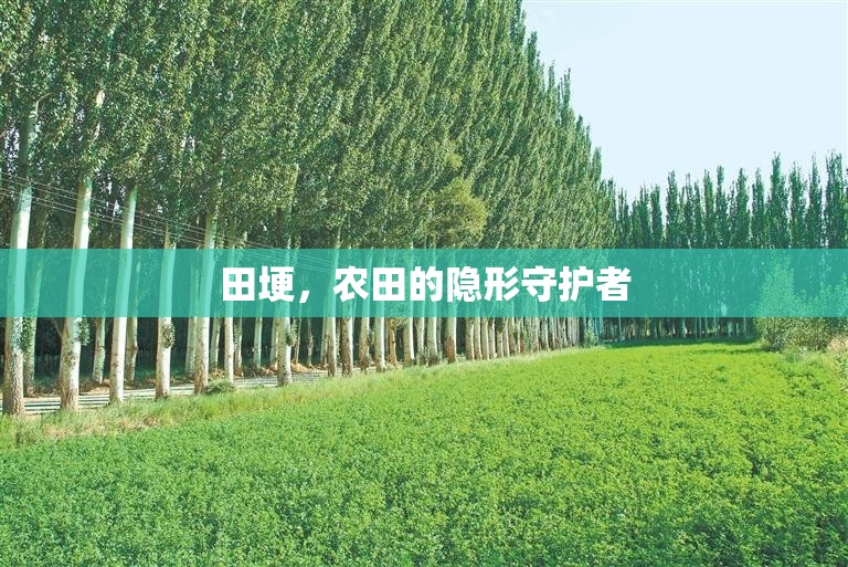 田埂，農(nóng)田的隱形守護(hù)者