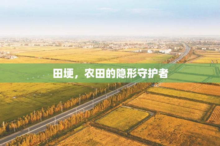 田埂，農(nóng)田的隱形守護(hù)者