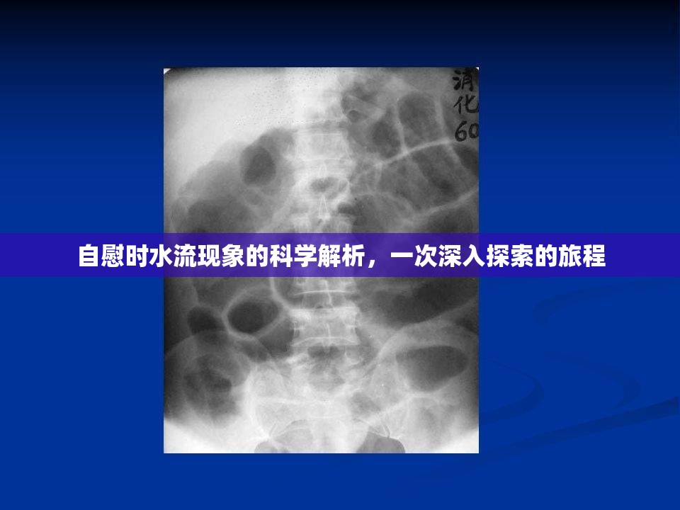 自慰時(shí)水流現(xiàn)象的科學(xué)解析，一次深入探索的旅程