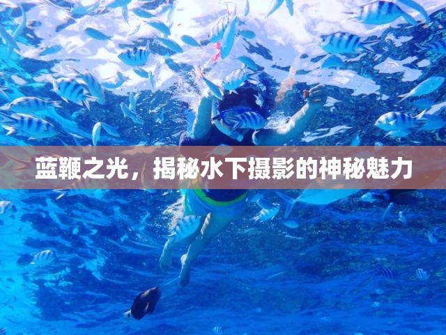 藍(lán)鞭之光，揭秘水下攝影的神秘魅力