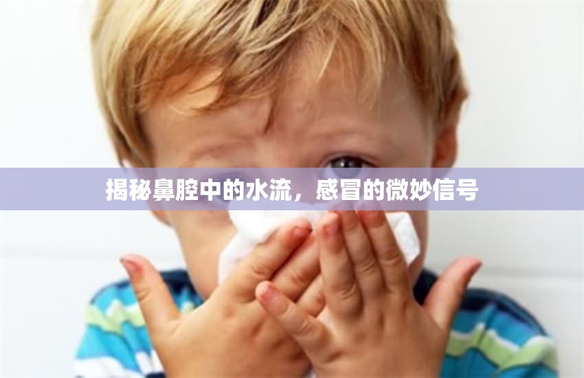 揭秘鼻腔中的水流，感冒的微妙信號(hào)