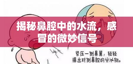 揭秘鼻腔中的水流，感冒的微妙信號(hào)