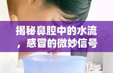 揭秘鼻腔中的水流，感冒的微妙信號(hào)