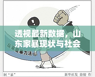 透視最新數(shù)據(jù)，山東家暴現(xiàn)狀與社會的關(guān)切應(yīng)對