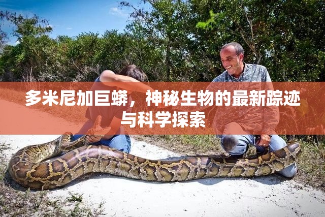 多米尼加巨蟒，神秘生物的最新蹤跡與科學(xué)探索