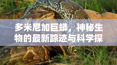 多米尼加巨蟒，神秘生物的最新蹤跡與科學(xué)探索