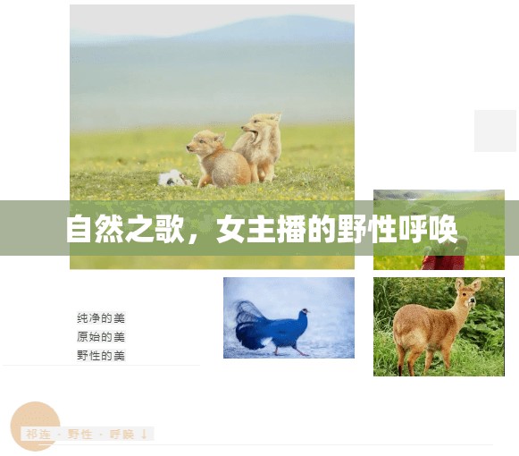 自然之歌，女主播的野性呼喚