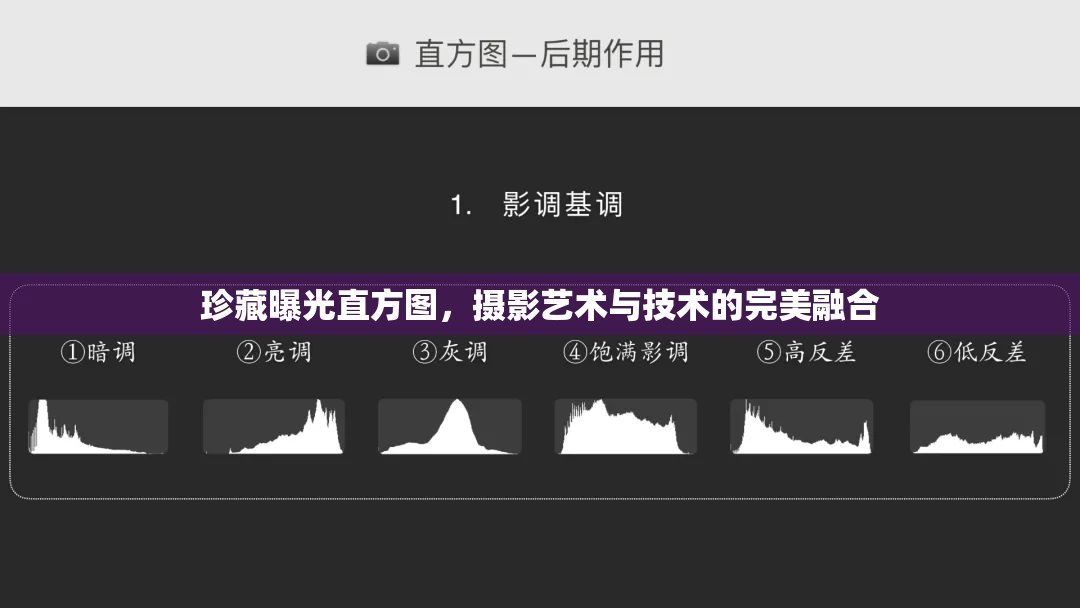 珍藏曝光直方圖，攝影藝術(shù)與技術(shù)的完美融合