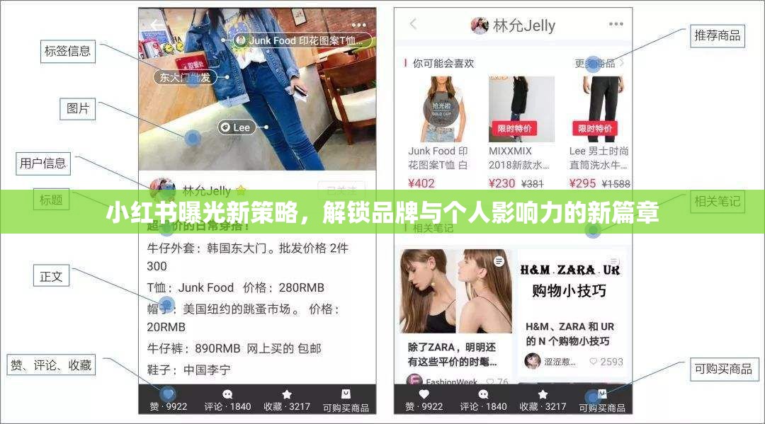 小紅書曝光新策略，解鎖品牌與個人影響力的新篇章