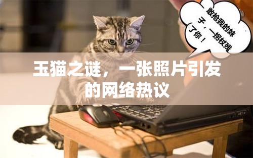 玉貓之謎，一張照片引發(fā)的網(wǎng)絡(luò)熱議