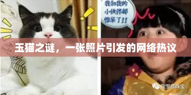 玉貓之謎，一張照片引發(fā)的網(wǎng)絡(luò)熱議
