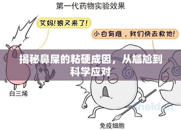 揭秘鼻屎的粘硬成因，從尷尬到科學(xué)應(yīng)對