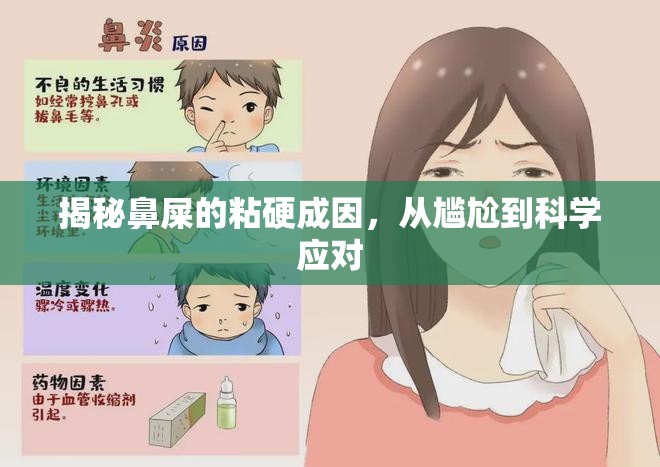 揭秘鼻屎的粘硬成因，從尷尬到科學(xué)應(yīng)對