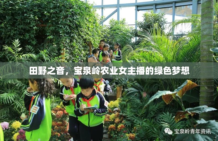 田野之音，寶泉嶺農(nóng)業(yè)女主播的綠色夢想