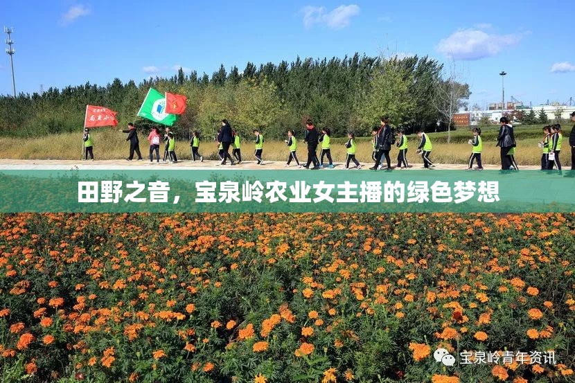 田野之音，寶泉嶺農(nóng)業(yè)女主播的綠色夢想