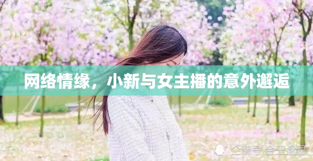 網(wǎng)絡(luò)情緣，小新與女主播的意外邂逅