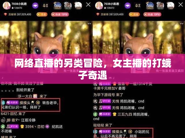 網(wǎng)絡(luò)直播的另類冒險(xiǎn)，女主播的打蛾子奇遇