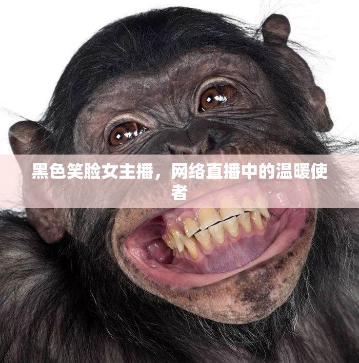 黑色笑臉女主播，網(wǎng)絡(luò)直播中的溫暖使者