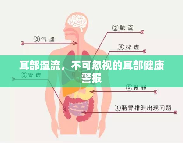 耳部濕流，不可忽視的耳部健康警報(bào)