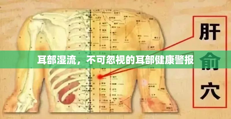 耳部濕流，不可忽視的耳部健康警報(bào)