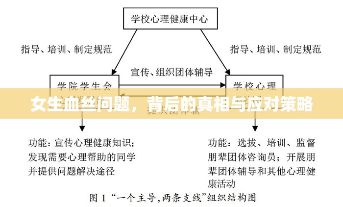 女生血絲問題，背后的真相與應(yīng)對策略