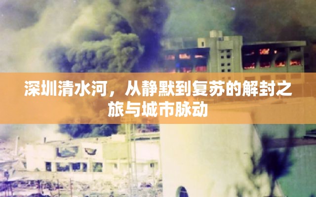 深圳清水河，從靜默到復(fù)蘇的解封之旅與城市脈動(dòng)
