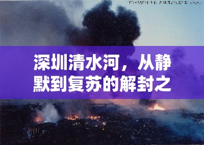 深圳清水河，從靜默到復(fù)蘇的解封之旅與城市脈動(dòng)