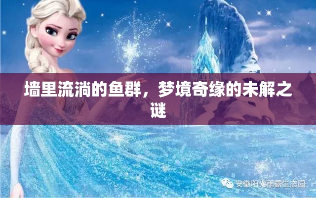 墻里流淌的魚群，夢境奇緣的未解之謎