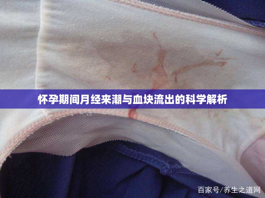 懷孕期間月經(jīng)來潮與血塊流出的科學(xué)解析