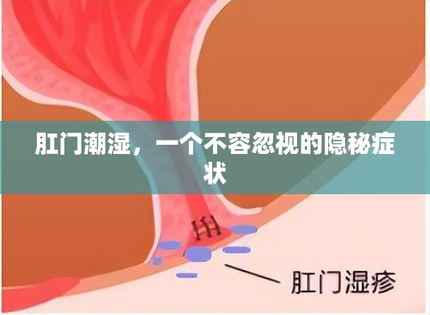 肛門潮濕，一個不容忽視的隱秘癥狀