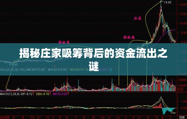 揭秘莊家吸籌背后的資金流出之謎
