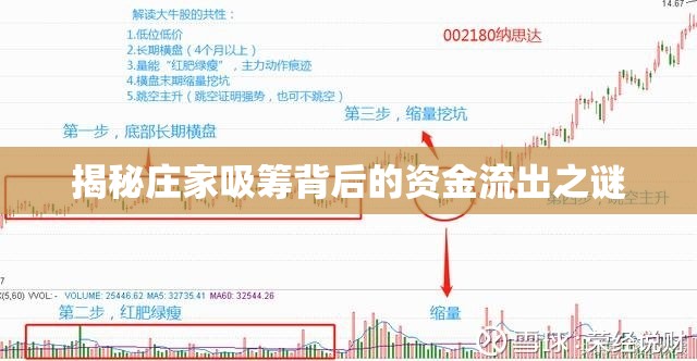 揭秘莊家吸籌背后的資金流出之謎