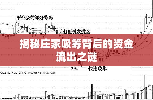 揭秘莊家吸籌背后的資金流出之謎