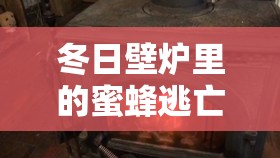 冬日壁爐里的蜜蜂逃亡，一場(chǎng)意外的智慧解困
