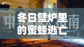 冬日壁爐里的蜜蜂逃亡，一場(chǎng)意外的智慧解困
