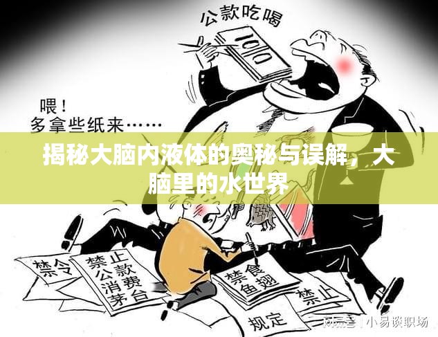 揭秘大腦內(nèi)液體的奧秘與誤解，大腦里的水世界