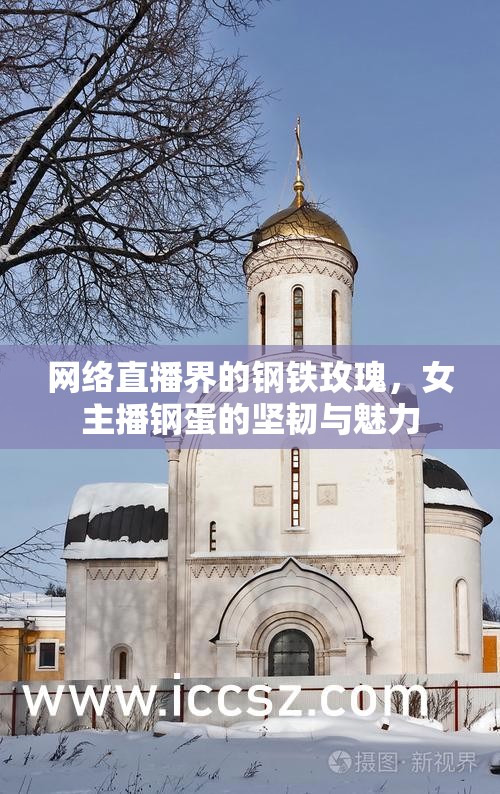 網(wǎng)絡(luò)直播界的鋼鐵玫瑰，女主播鋼蛋的堅(jiān)韌與魅力
