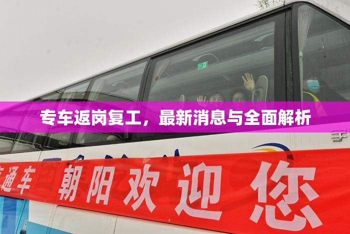 專車返崗復(fù)工，最新消息與全面解析