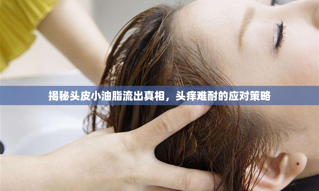揭秘頭皮小油脂流出真相，頭癢難耐的應對策略