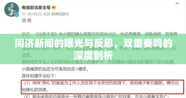 同濟(jì)新聞的曝光與反思，雙重奏鳴的深度剖析