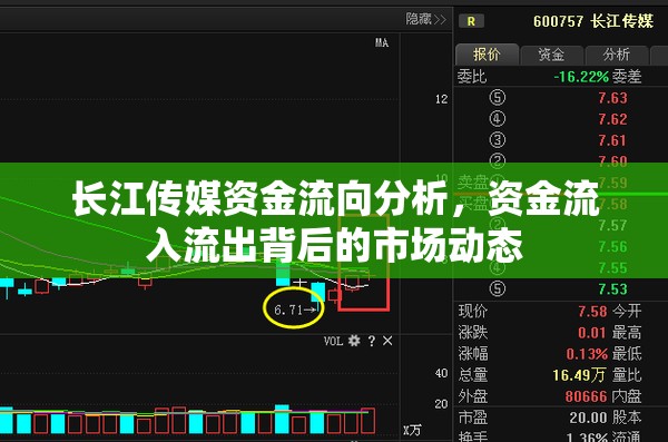 長江傳媒資金流向分析，資金流入流出背后的市場動態(tài)