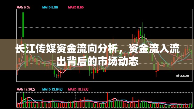 長江傳媒資金流向分析，資金流入流出背后的市場動態(tài)