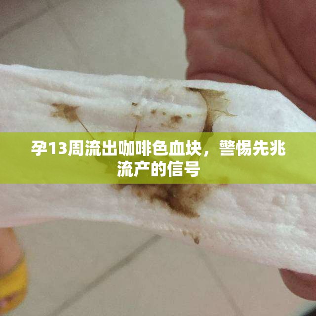 孕13周流出咖啡色血塊，警惕先兆流產的信號