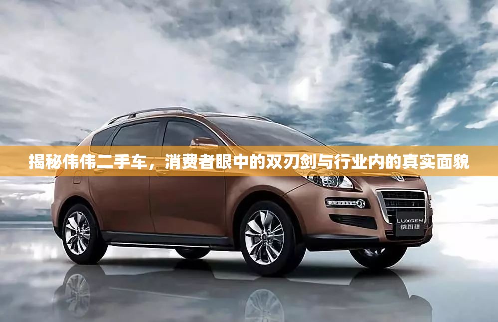 揭秘偉偉二手車，消費者眼中的雙刃劍與行業(yè)內的真實面貌